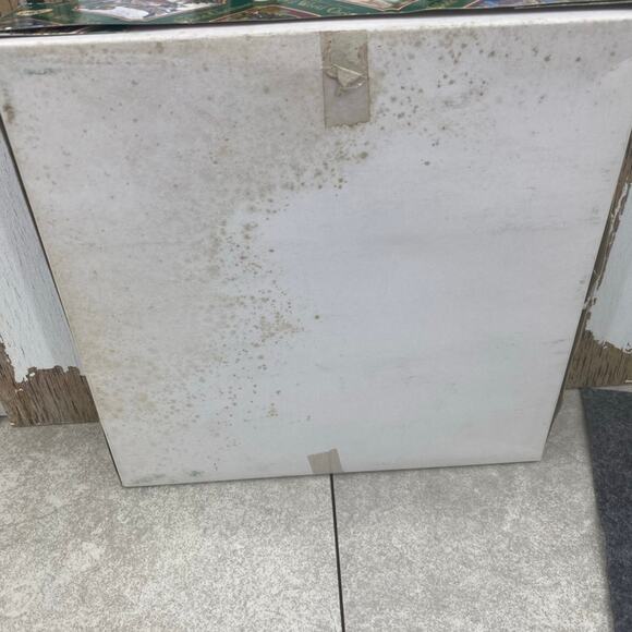 Old World Christmas Scallop Shell Design Fish Scene Christmas Ornaments Set of 6 - Picture 11 of 12